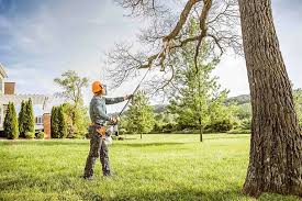 Trusted Syracuse, UT Tree Removal and Landscaping Services Experts